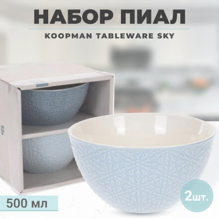 Набор пиал Koopman tableware Sky 500 мл 2  шт во Владивостоке 