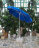 Зонт Breeze 2.0 во Владивостоке 