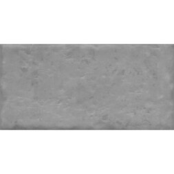 Плитка Kerama Marazzi Граффити 19066 20x9,9 см Серый