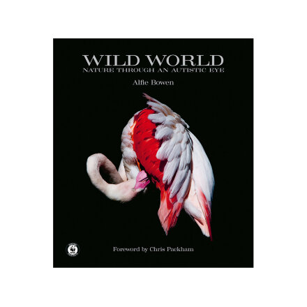 Wild World Книга во Владивостоке 
