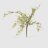 Ветка цветущая Конэко-О 34313 во Владивостоке 