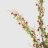 Ветка цветущая Конэко-О 34313 во Владивостоке 