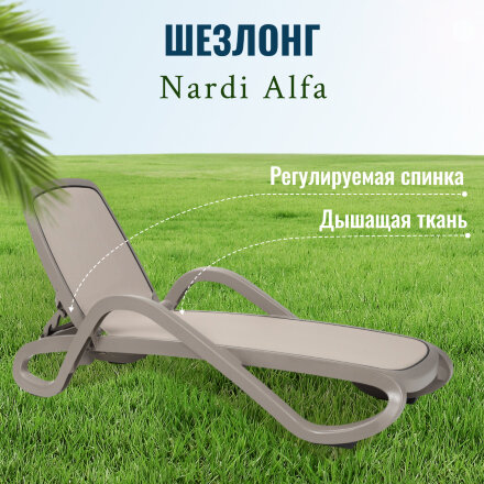 Шезлонг Nardi Alfa Grey Tortora (404161012417F/4041610124) во Владивостоке 