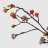 Ветка с цветами Конэко-О 108514 в ассортименте во Владивостоке 