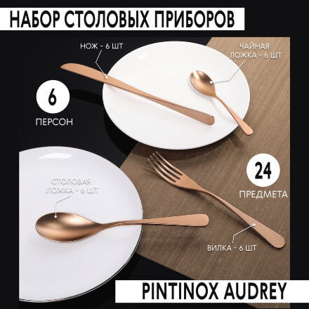 Набор столовых приборов Pintinox Audrey Cop 24 предмета 6 персон во Владивостоке 