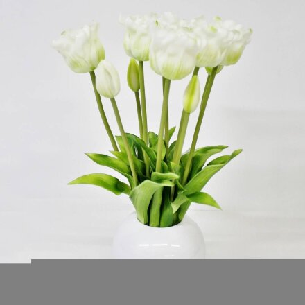 Тюльпаны Конэко-О 10150_х2_10161 в белом кашпо 45 см во Владивостоке 